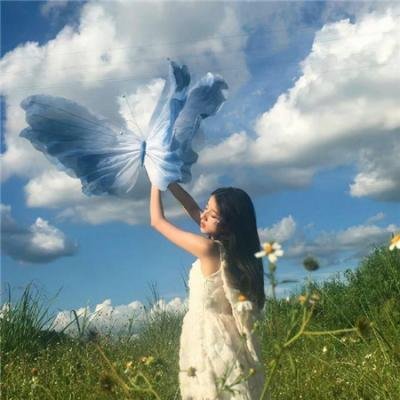 如果历史是一群喵第六季